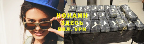 хмурый Мегион
