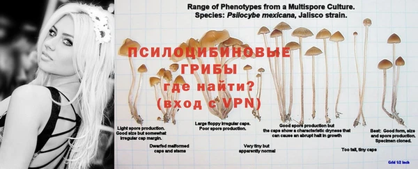 альфа пвп Волосово