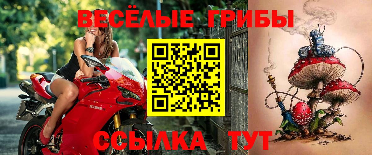 Псилоцибиновые грибы мухоморы Лабинск