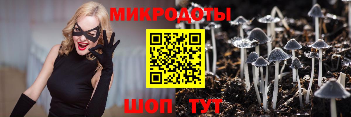 Галлюциногенные грибы мицелий  Вход с VPN  Лабинск  Галлюциногенные грибы GOLDEN TEACHER 